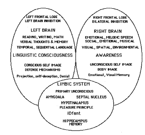 Left Brain Vs Right Brain Characteristics Chart