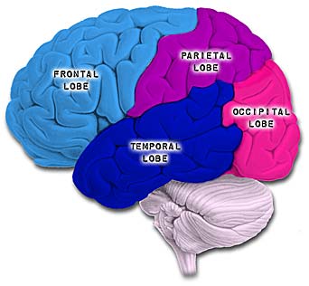 life expectancy with multiple brain tumors on all lobes